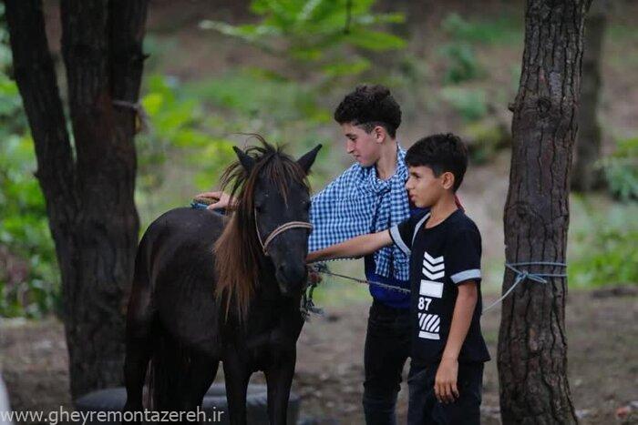 اسب کاسپین ایرانی چهار نعل در راه یونسکو