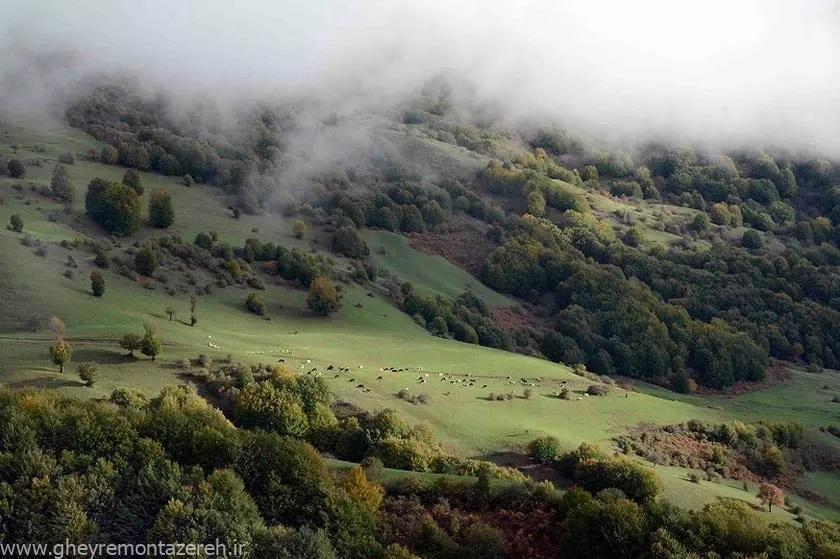 پیوست شدن ۳۶۰۰ هکتار از جنگلهای گیلان به قزوین دقیقا یعنی چه؟