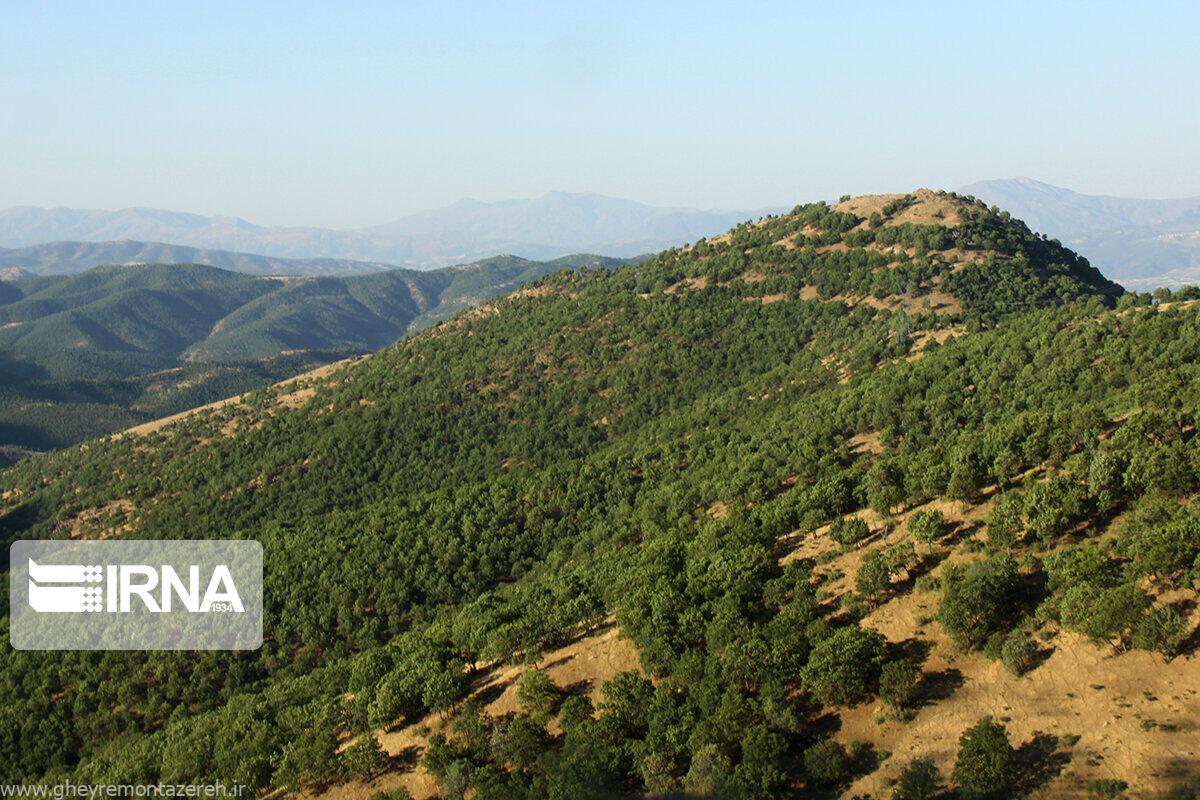 چه کسی دروغ میگوید؟!/ مدیرکل منابع طبیعی گیلان: حتی یک مترمربع از اراضی ملی و جنگلی و مرتعی استان گیلان به استان های دیگر ملحق نشده و نخواهد شد!