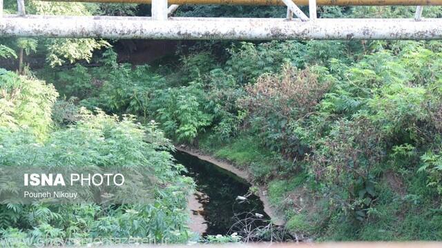 ضرب الاجل برای تعیین تکلیف سیاهترین رودخانه گیلان ضرب الاجل برای تعیین تکلیف سیاهترین رودخانه گیلان