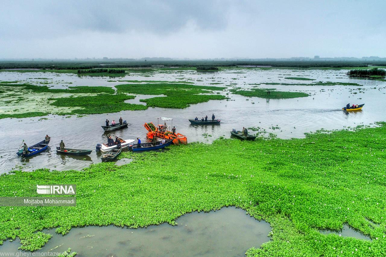 استاندار گیلان: حال تالاب انزلی خوب نیست / جلسات فقط دورهمی بود