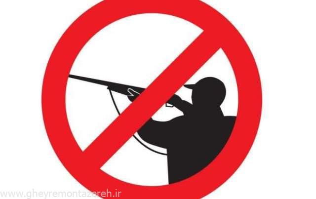 مدیرکل محیط زیست گیلان: شکار پرندگان در گیلان ممنوع شد