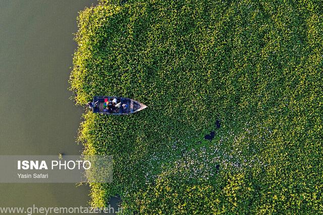 راه نجات تالاب بینالمللی انزلی چیست؟