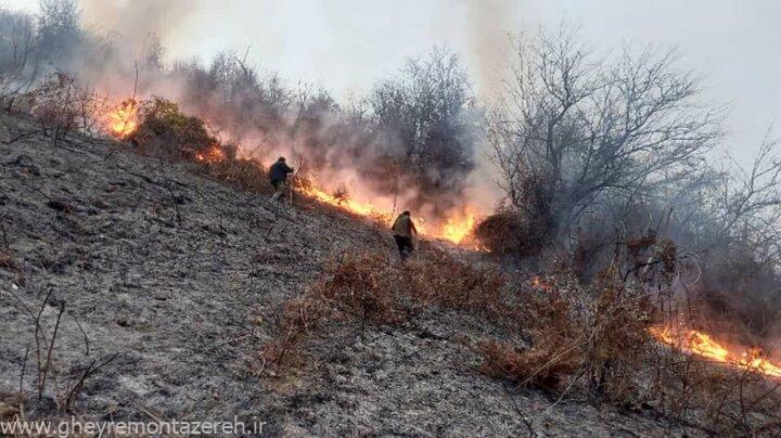 آب و هوای سواحل شمال ایران مثل لس آنجلس است/ آتشسوزیهای جنگلی مشابه جنوب کالیفرنیا ممکن است/خطر آتشسوزی را جدی بگیریم