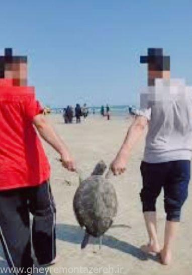 ناگردشگران؛ قاتلان طبیعت و تاریخ ناگردشگران؛ قاتلان طبیعت و تاریخ