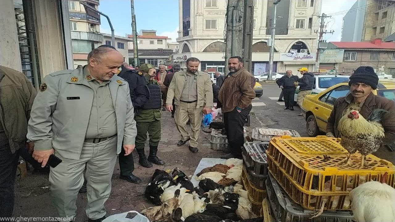 برخورد جدی با فروشندگان پرندگان مهاجر در گیلان