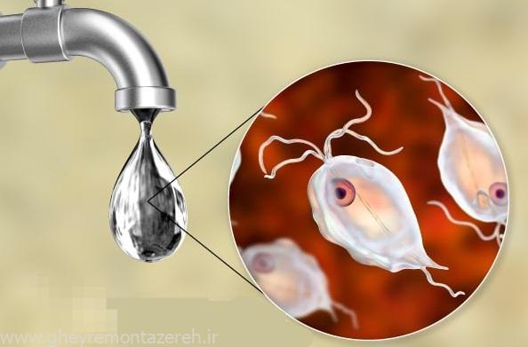 توصیههایی جهت افزایش آگاهی برای پیشگیری از بروز بیماریهای رودهای