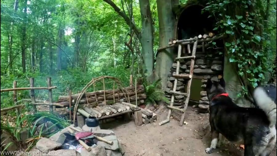 چرایی اهمیت ممنوعیت «بوشکرفت» در جنگلهای هیرکانی چرایی اهمیت ممنوعیت «بوشکرفت» در جنگلهای هیرکانی