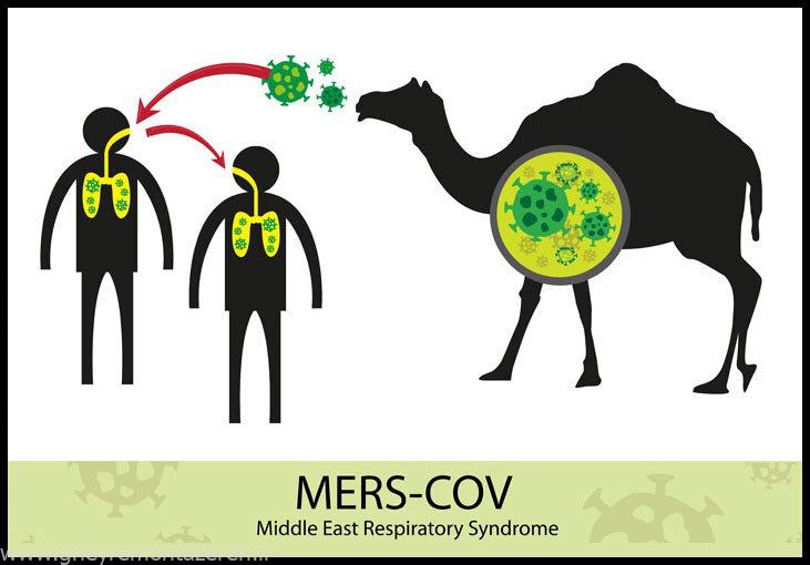 کاهش ایمنی جمعی، عامل مؤثر در بازگشت کرونا/ «واکسنها دیگر مؤثر نیستند» / جزئیات یک بیماری شدیدتر از کووید در عربستان