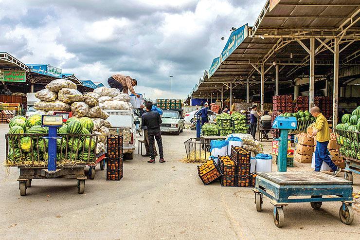 نگاهی به چالش مالیاتی غرفهداران میادین ترهبار؛ محاسبه ناعادلانه یا خلأ قانونی؟