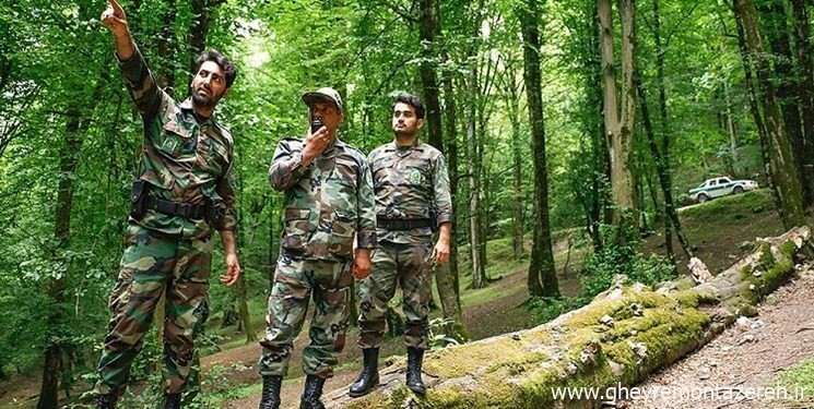 درخواست جنگلبانی از دستگاه قضا: با عاملین حمله به جنگلبانان برخورد جدی شود