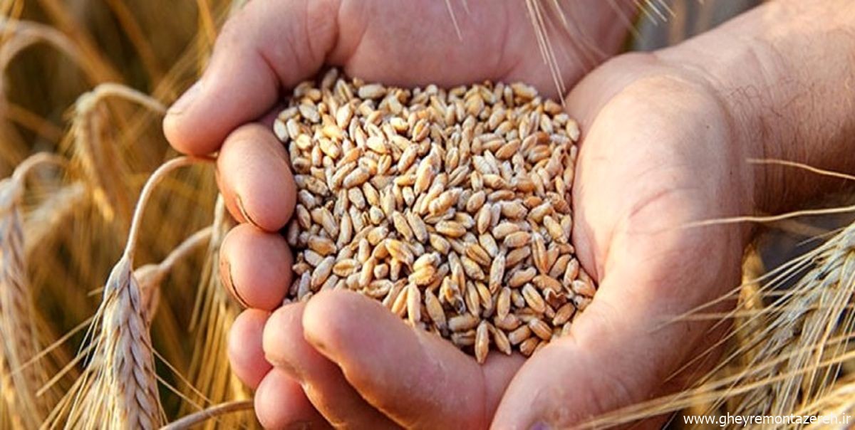 افشاگری نماینده مجلس: فقط با افزایش قیمت‌ می‌شود با قاچاق مبارزه کرد؟ + ویدئو