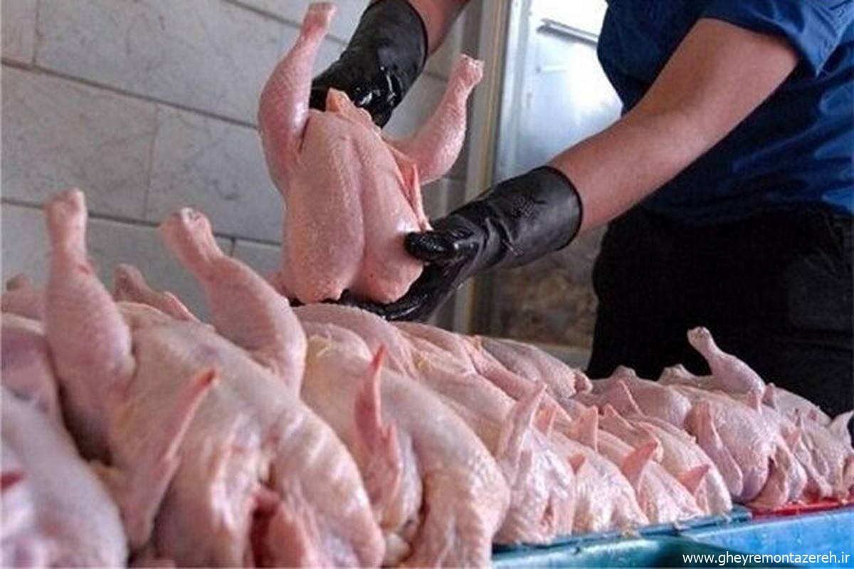 اتحادیه مرغداران گوشتی: سرانه مصرف مرغ بعد از مردمی‌سازی یارانه‌ها ۶ کیلوگرم کم شده!