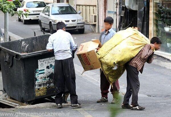 زباله گردها چقدر از سطل زباله‌ها می‌برند؟